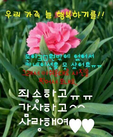행복한농원 이미지