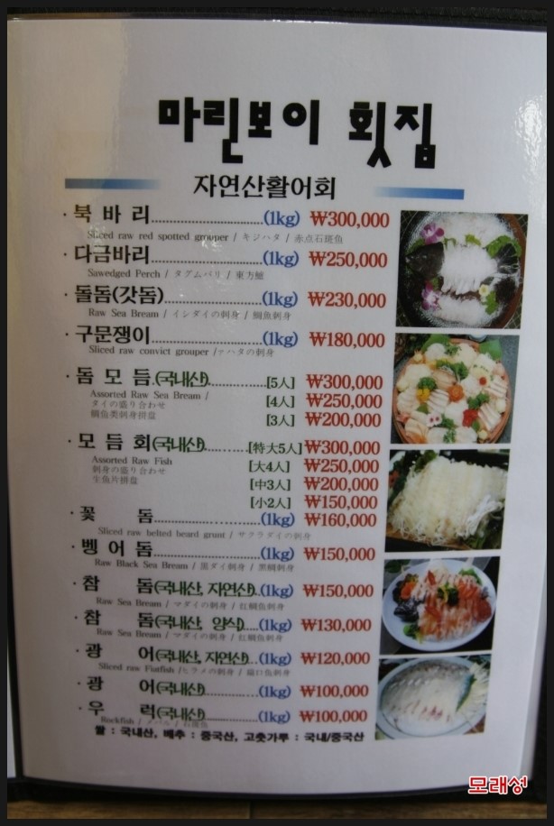 용담마린 이미지