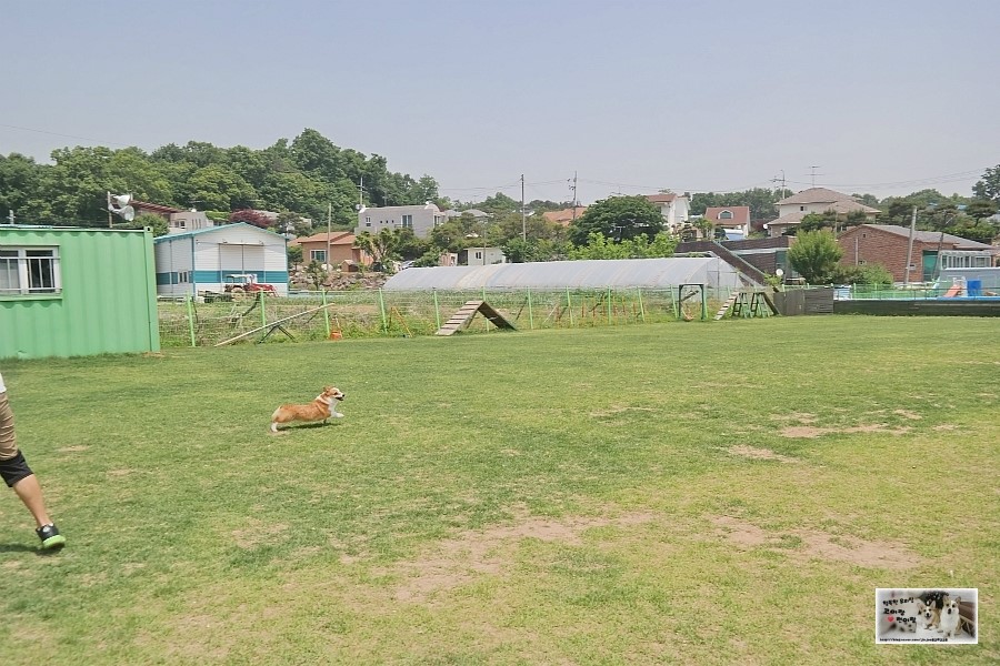 (주)코이 이미지