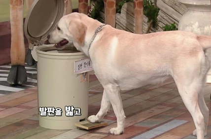 호야농장 이미지