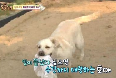 호야농장 이미지