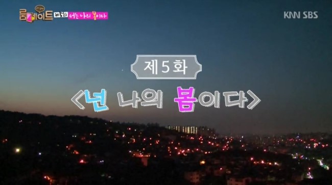 넌나의봄이다 이미지