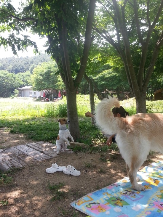 호락PC방 이미지