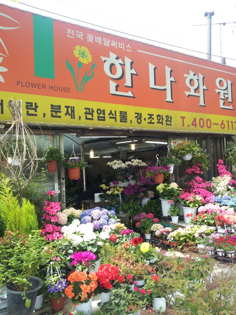 한나화원 이미지
