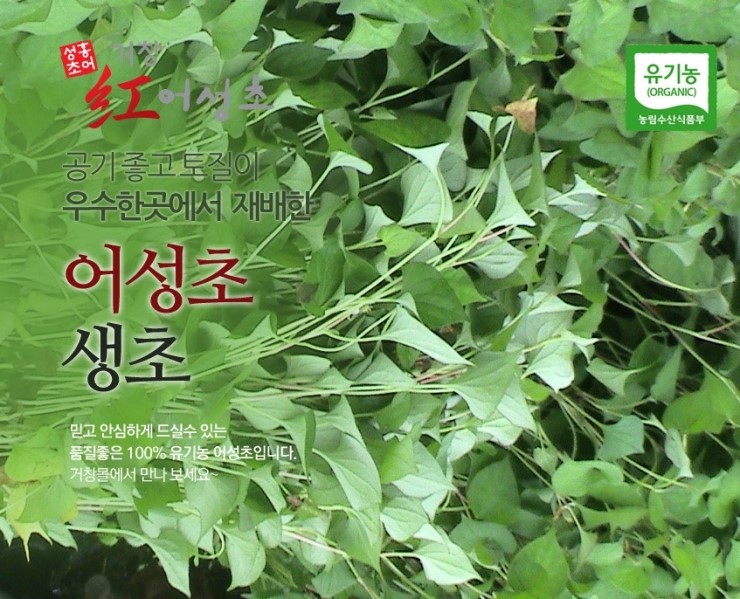 거창홍어성초영농조합법인 이미지
