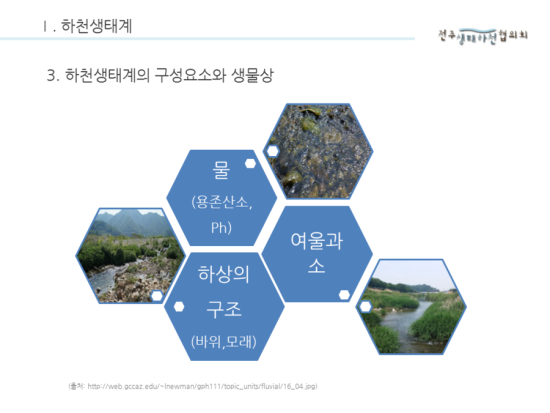 하천을 이루고 있는 것들 - 하천생태계의 구성요소와 생물상/첫번째편 - 하천생태계와 수서생물 ③ : 네이버 블로그