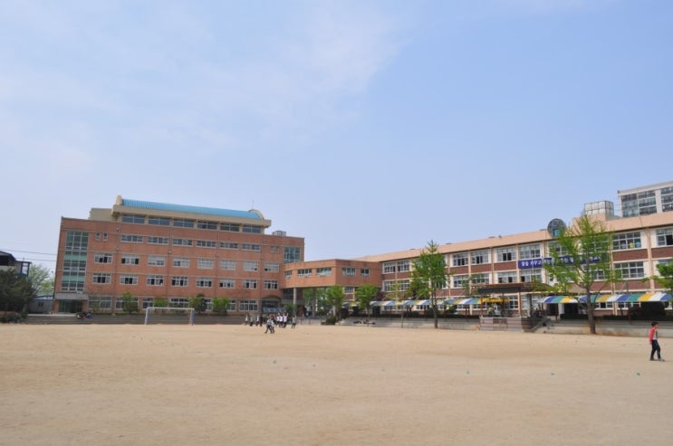 신평초등학교 이미지