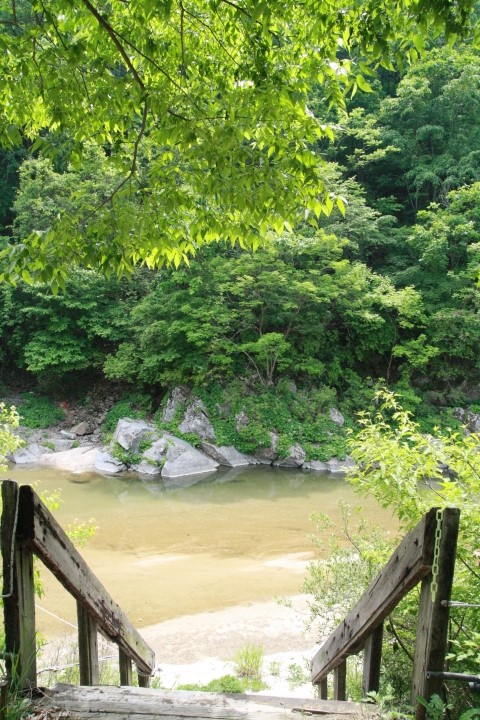 와라쉼터 이미지