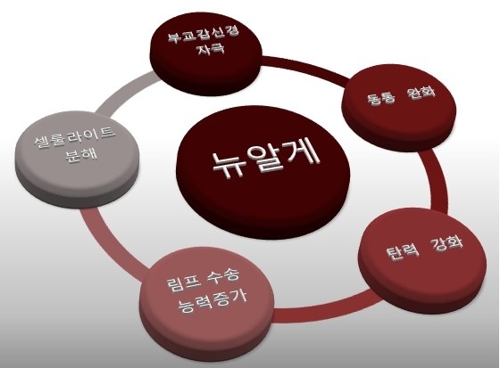 황경애스킨케어 이미지