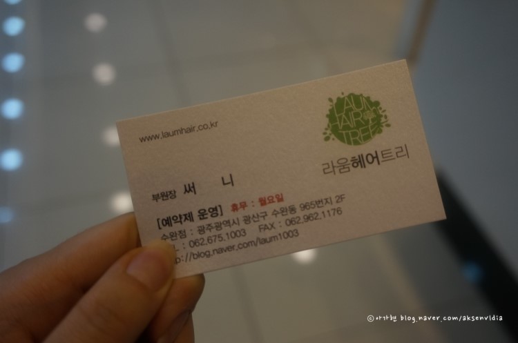라움헤어트리 이미지
