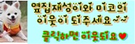 스타카크리닉 이미지