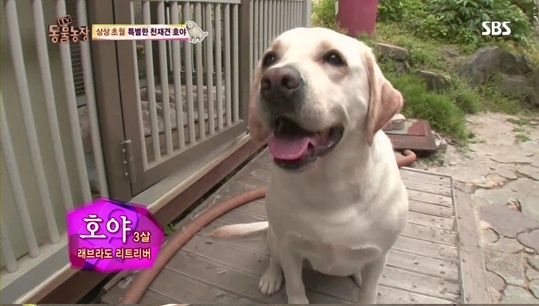 호야농장 이미지