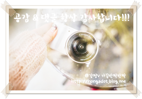 정가네찜닭 이미지