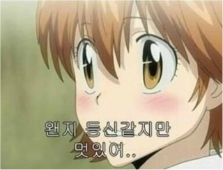 피자리움 이미지