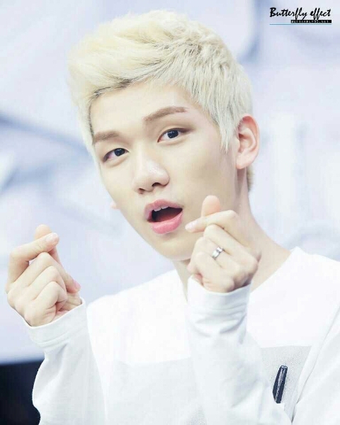 오모오모 이미지