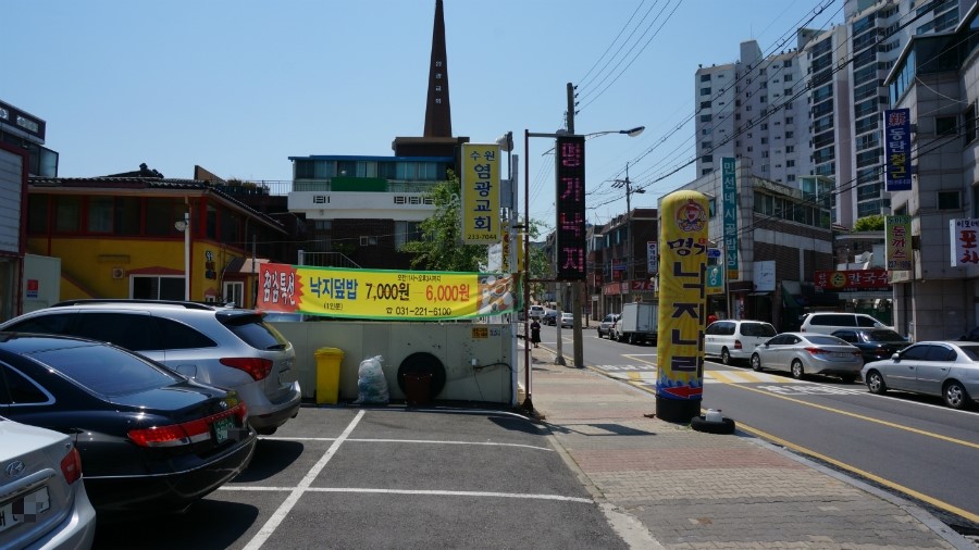 낙지나라 이미지