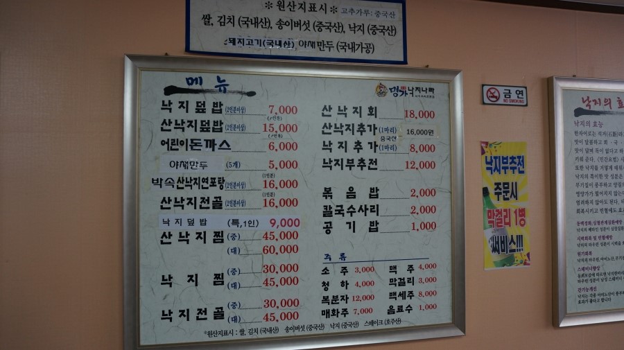 낙지나라 이미지