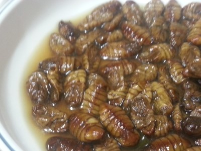 광동수산 이미지