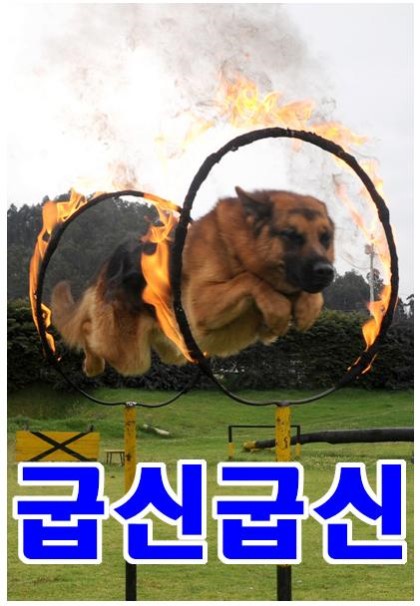 오통영 이미지