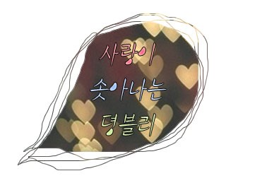 김싸롱 이미지