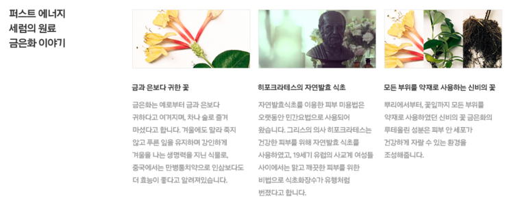 퍼스트에너지 이미지