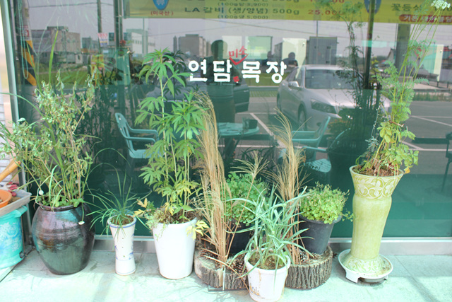 연담목장 이미지