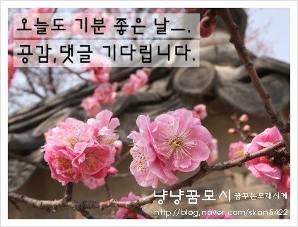 우주카메라서비스센타 이미지