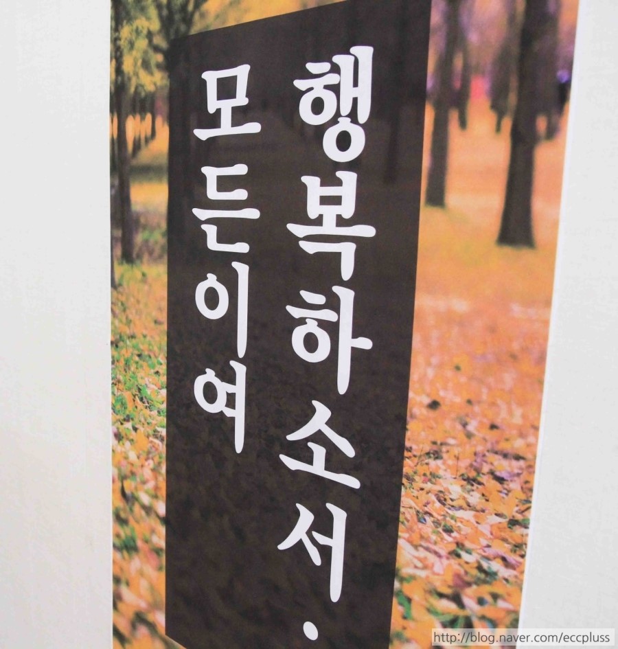 사회적협동조합피움 이미지