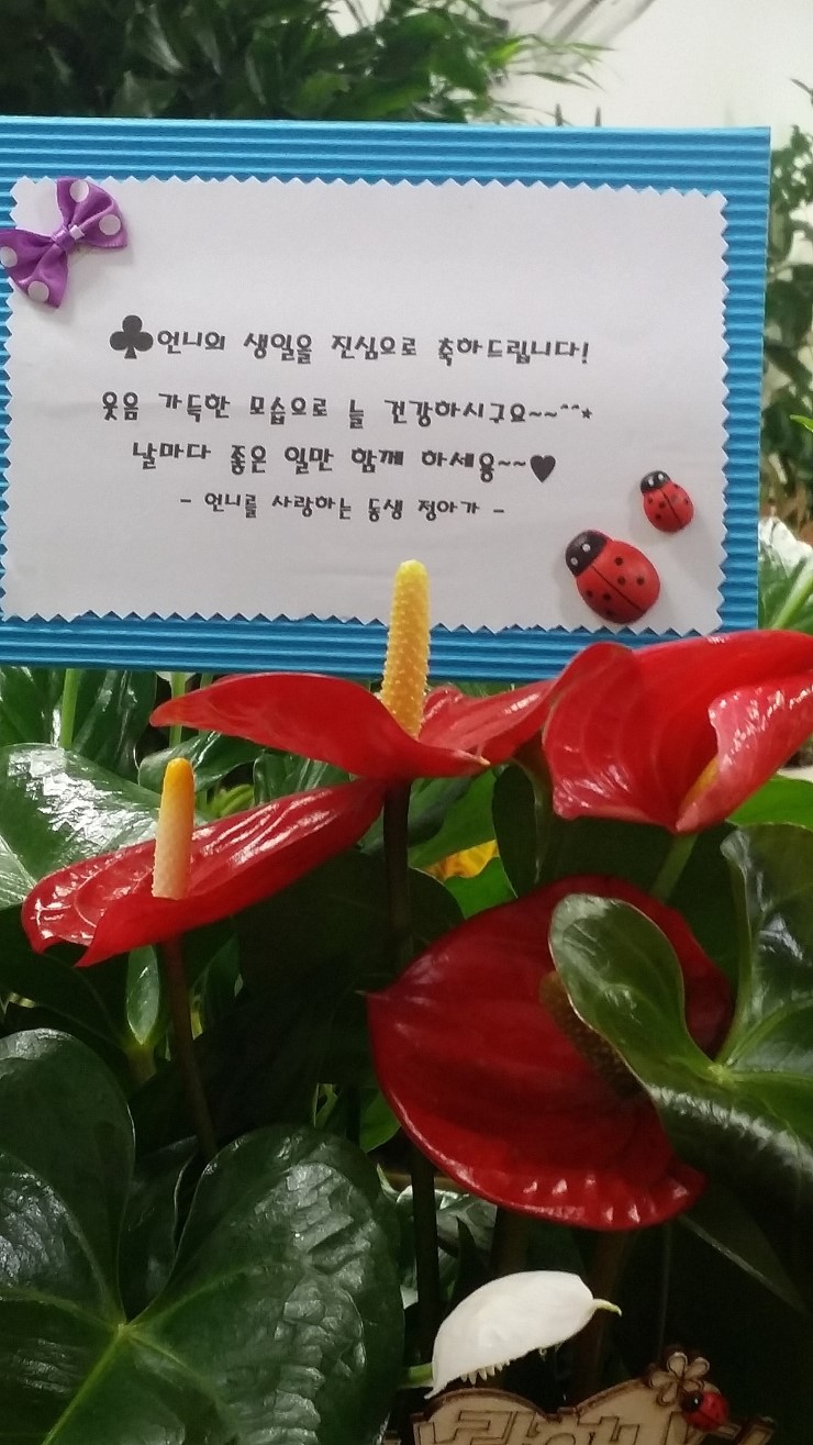 세기꽃집 이미지