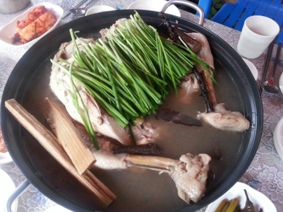 일등닭오리 이미지