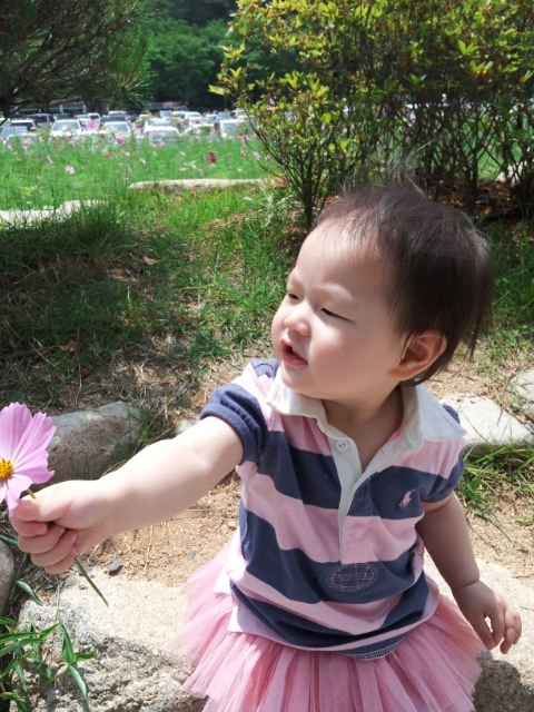 꽃보다 너 이미지