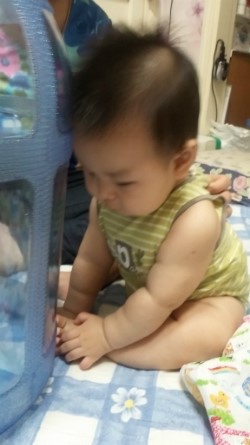 장보리마트 이미지