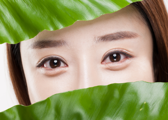 예의원 이미지
