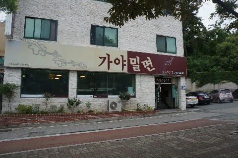 국수나무대 이미지