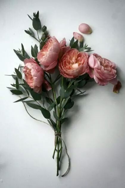 peony 이미지