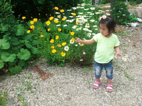 데미샘호수펜션 이미지