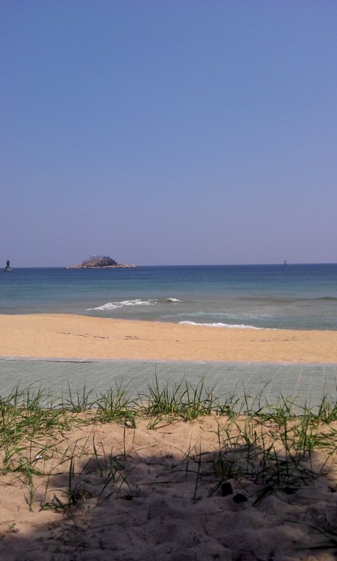 안산전자담배단원멀티샵 이미지