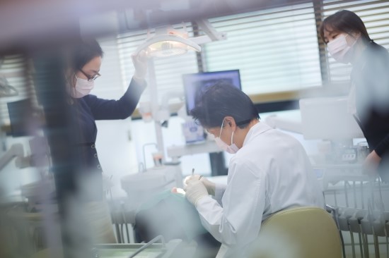 화이트플란트치과의원 이미지