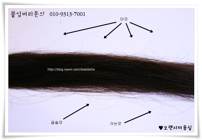 아름다운머리 이미지