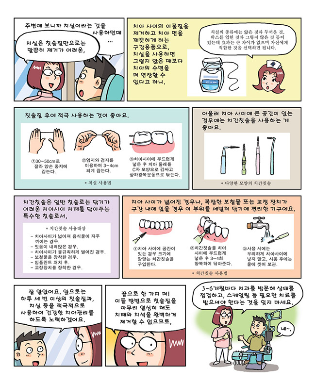 치아글로벌 이미지