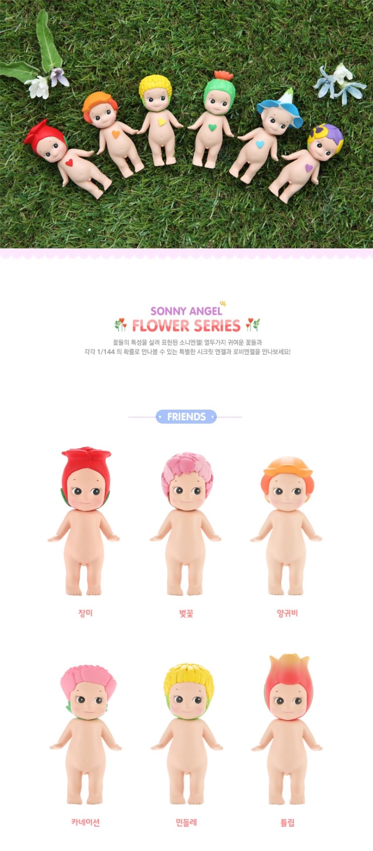 엔젤플라워 이미지