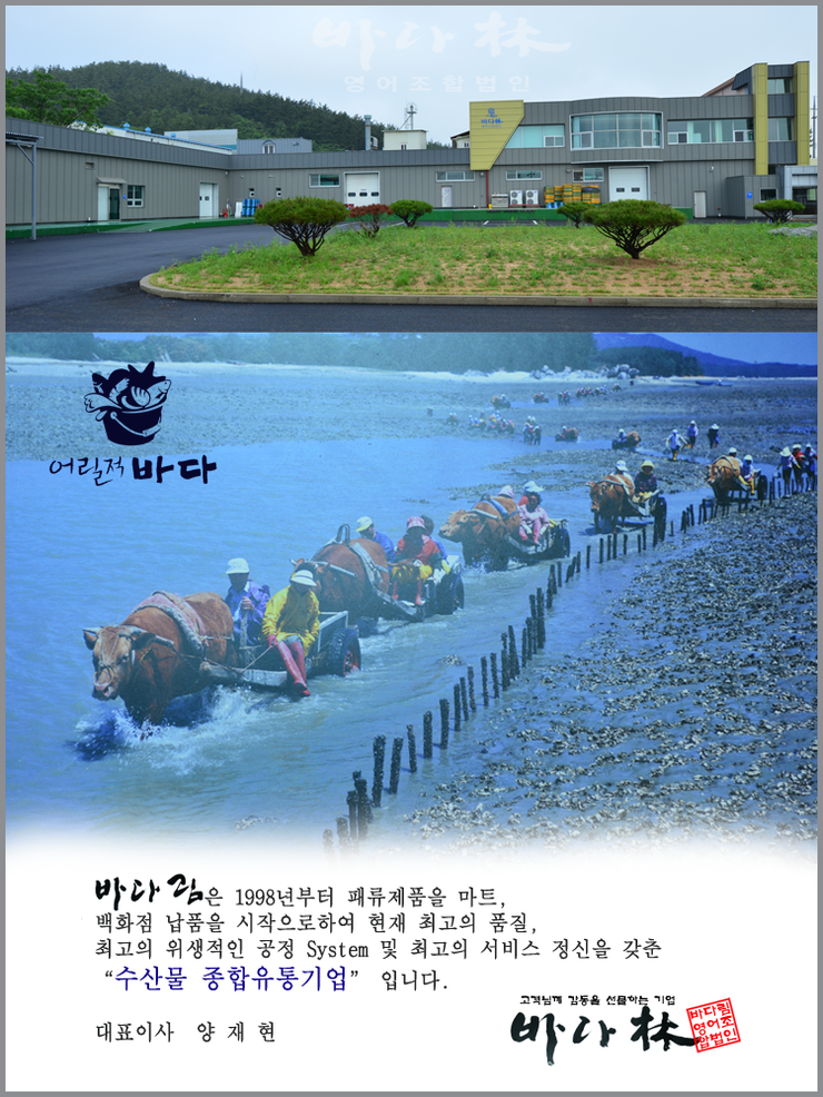 바다림 이미지