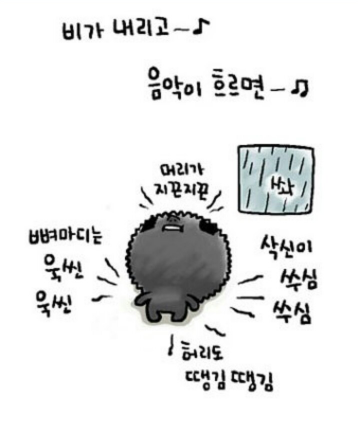 이승미샵 이미지