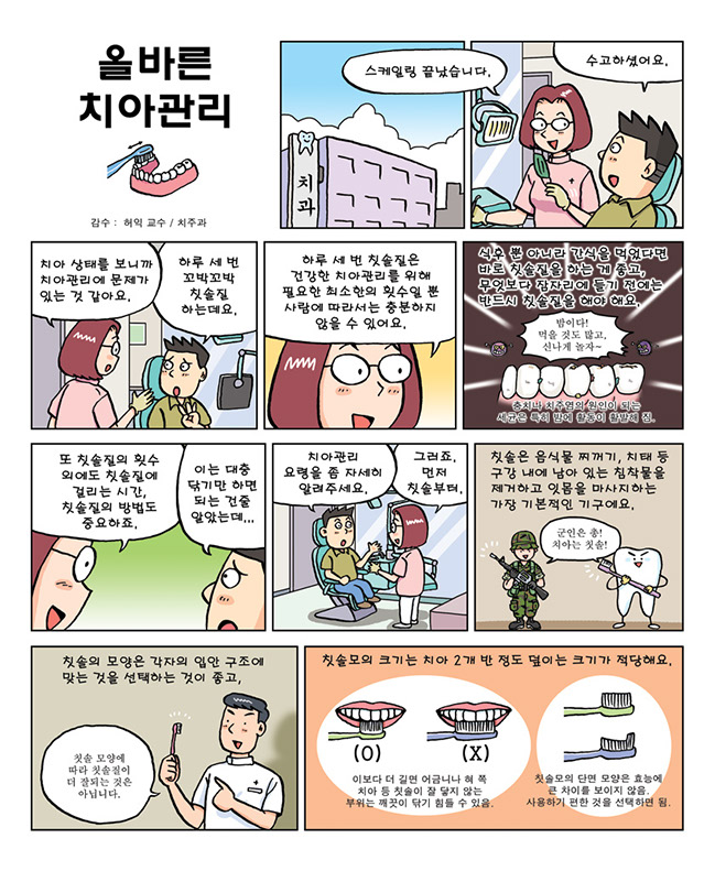치아글로벌 이미지