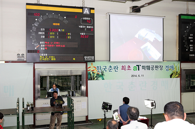 한국공판장 이미지