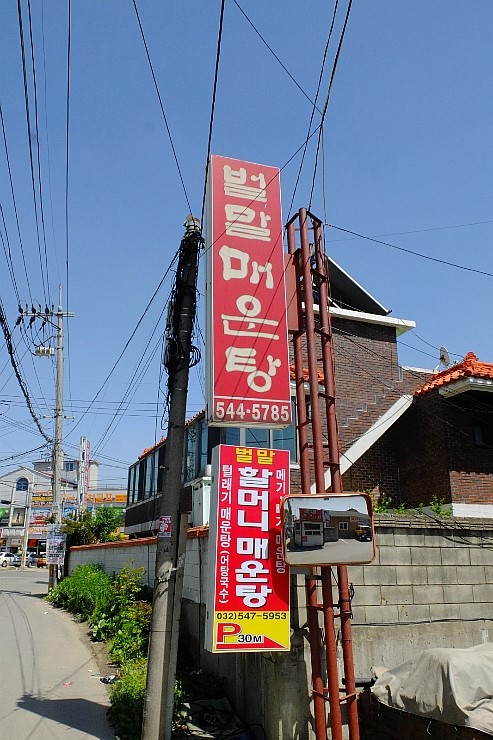 계양민물고기 이미지