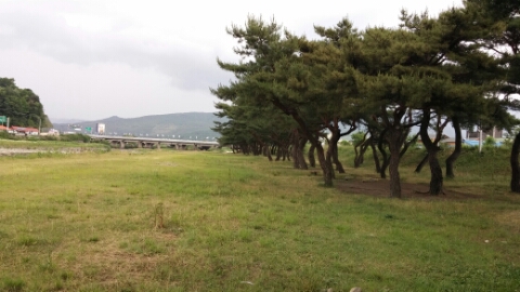 솔밭캠핑장 이미지