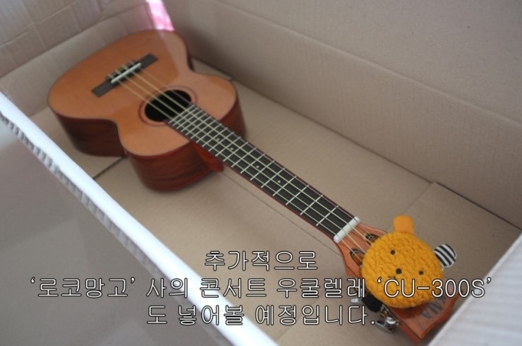 로코망고 이미지