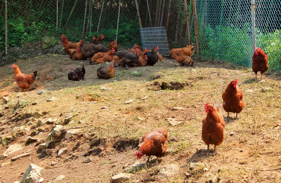 그린피아모텔 이미지