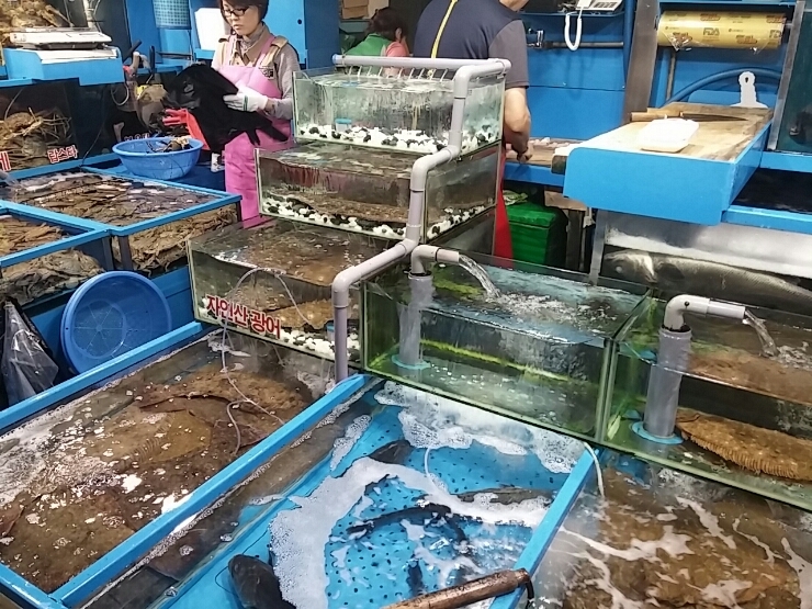 길은이모수산 이미지